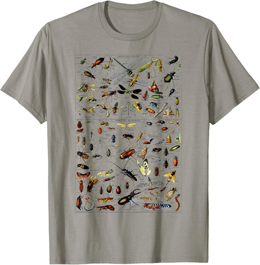 Insects Collection Species Bugs Vintage Chart Entomologie T-Shirt - T-Shirt | Sand