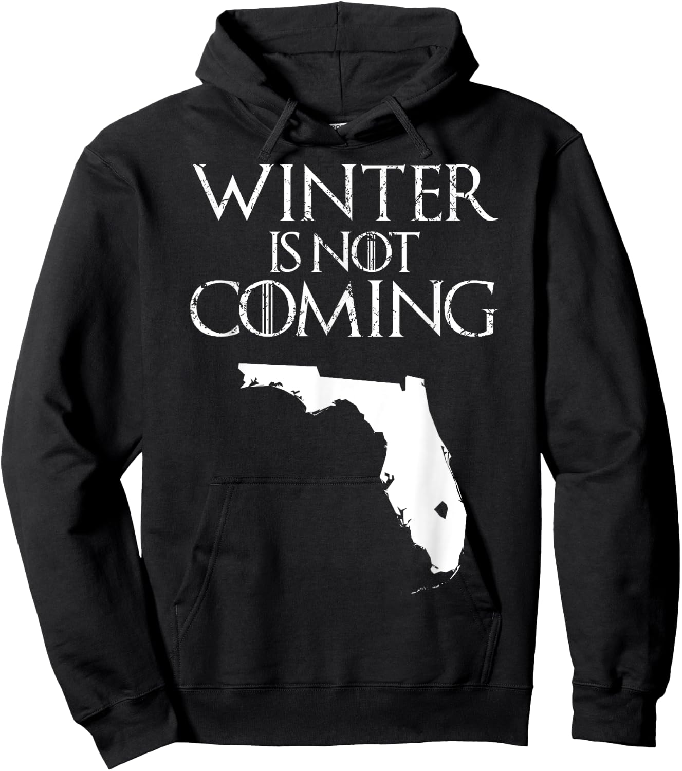 Winter is not coming T Shirt Funny Christmas FL USA gift Hoodie - Hoodie | Black