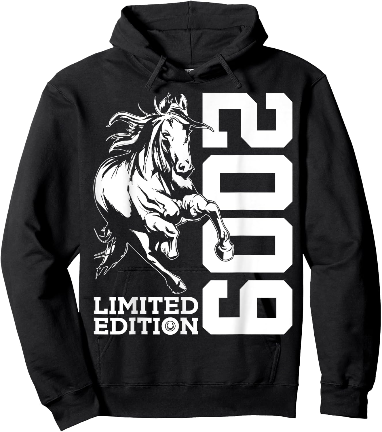 Riding 16th Birthday Horse Limited Edition 2009 Rider Hoodie - Hoodie | Black