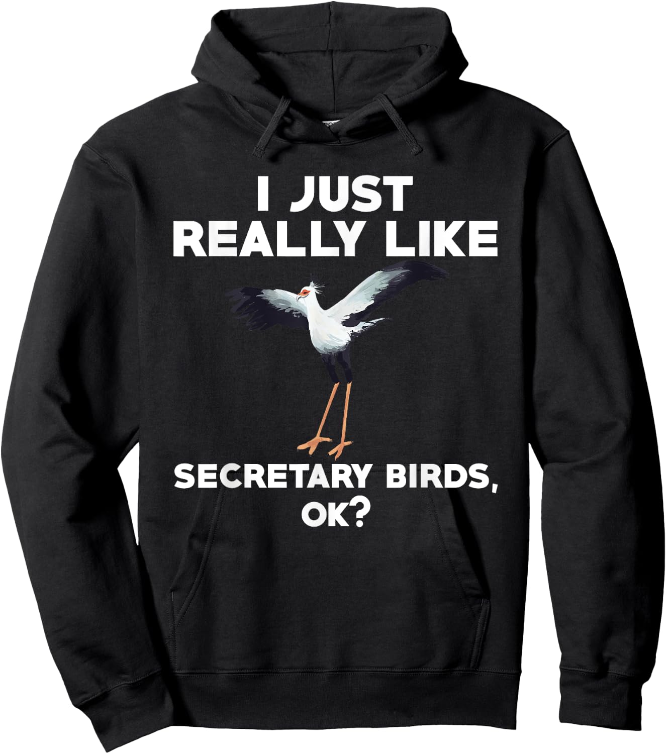 Funny Secretary Bird Saying Bird Watching Birding Hoodie - Hoodie | Black