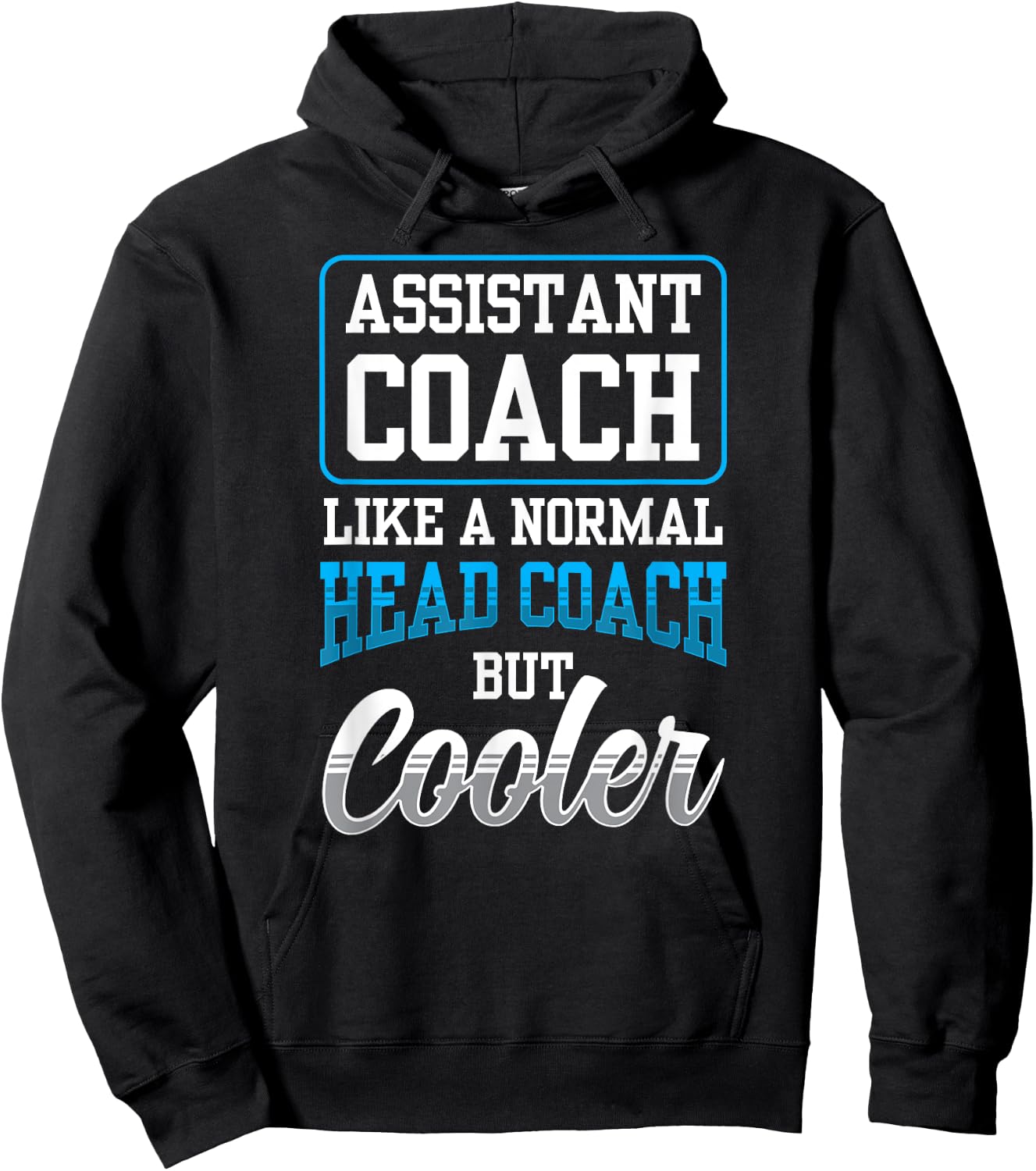 Assistant Coach Like A Normal Head Coach But Coaching Hoodie - Hoodie | Black