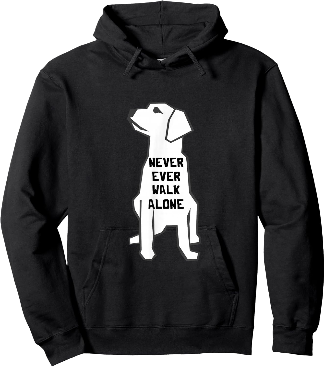Never Ever Walk Alone Dog Walker Pet Owner Puppies Dog Lover Hoodie - Hoodie | Black
