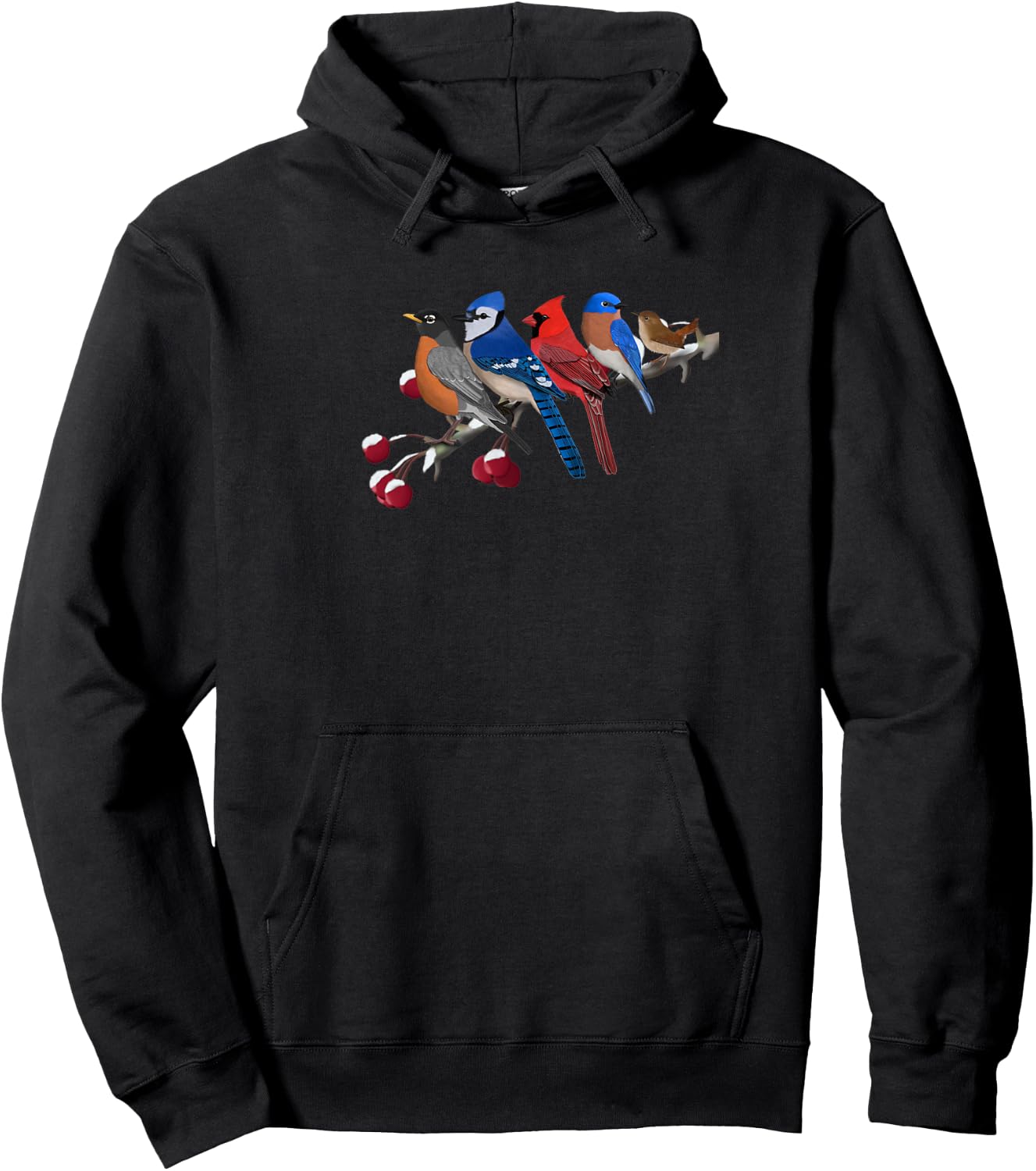 Bluebird Robin Cardinal Blue Jay Wren Christmas Bird Birder Hoodie - Hoodie | Black