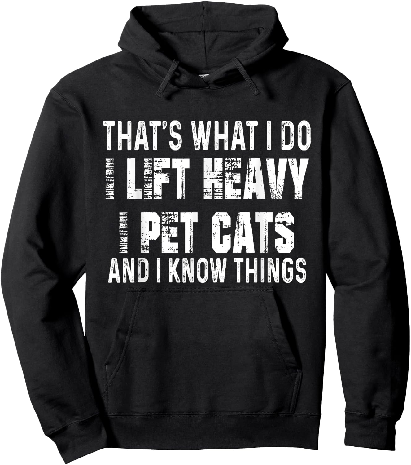 Hilarious Fitness Cat Lovers and Gym Humor -Adults Black Small I Lift Heavy, I Pet Cats, and I Know Things Funny Gym Hoodie - Hoodie | Black