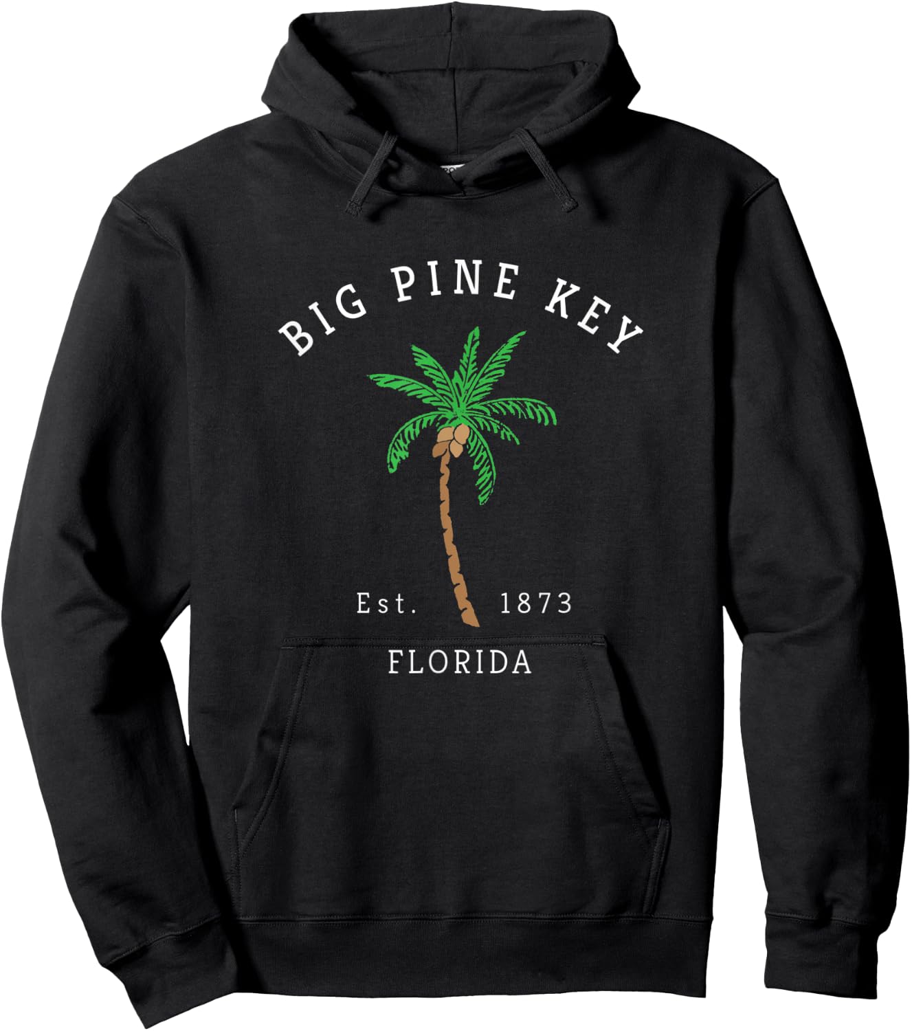 Retro Cool Big Pine Key Florida Keys Colorful Palm Tree Hoodie - Hoodie | Black