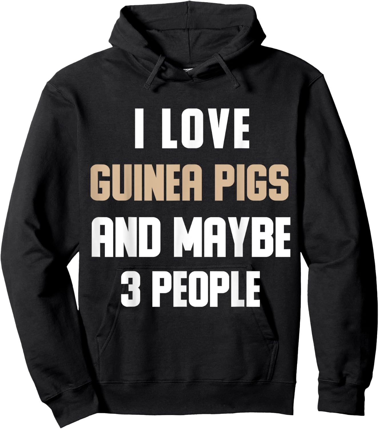 I Love My Guinea Pigs And Maybe 3 People Sarcasm Hoodie - Hoodie | Black