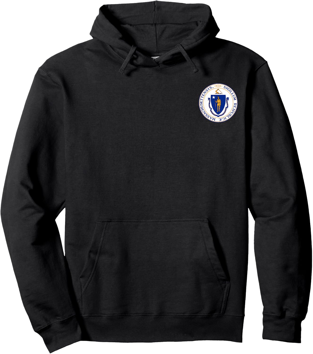 Massachusetts State Seal Flag Hoodie - Hoodie | Black