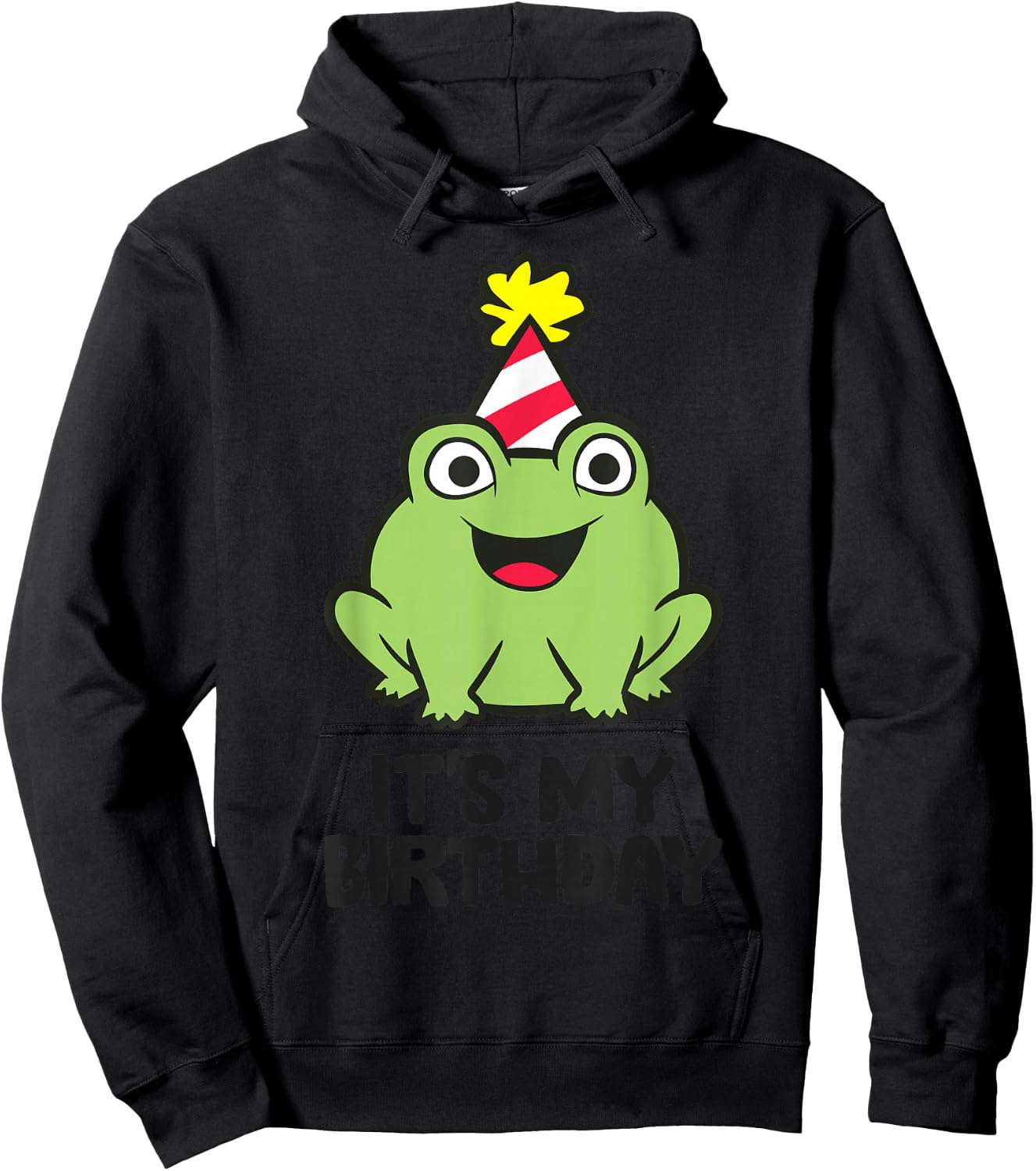 Its My Birthday Amphibian Frog Themed Birthday Hoodie - Hoodie | Black