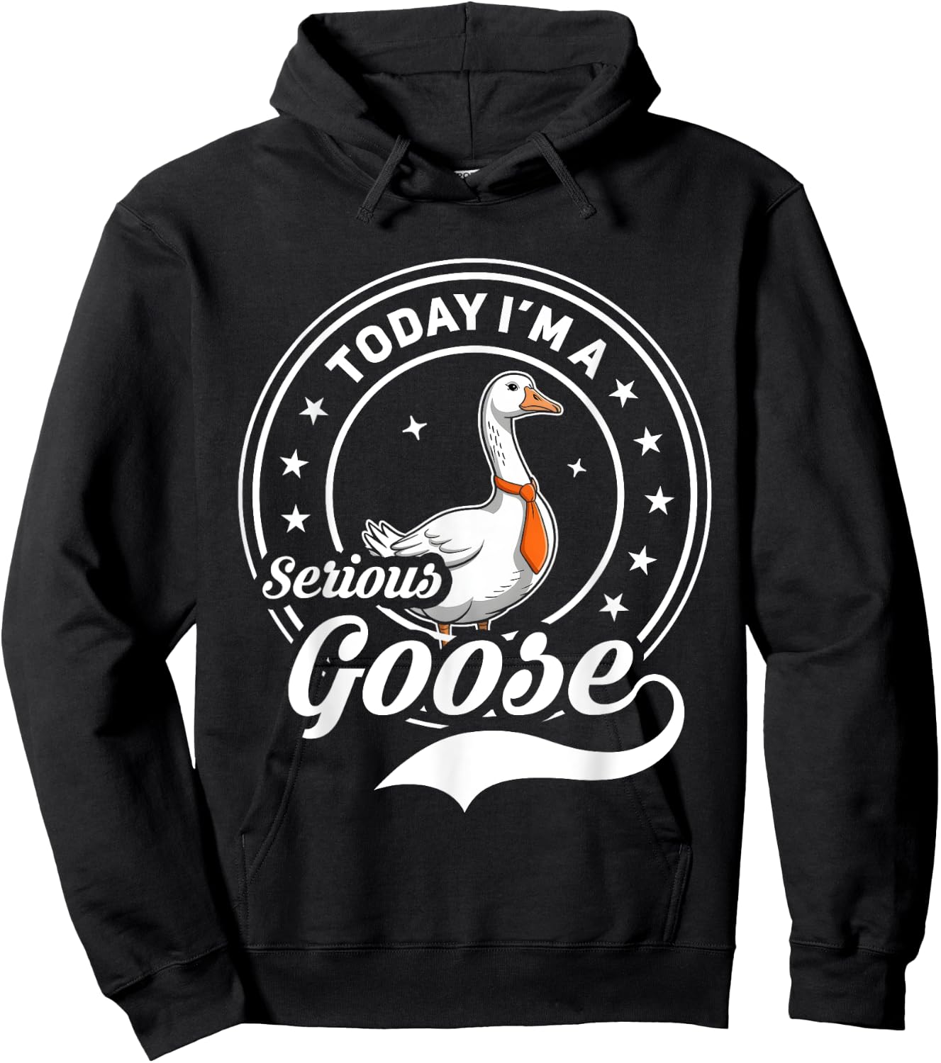 Today I'm A Serious Goose Funny Goose Meme Hoodie - Hoodie | Black