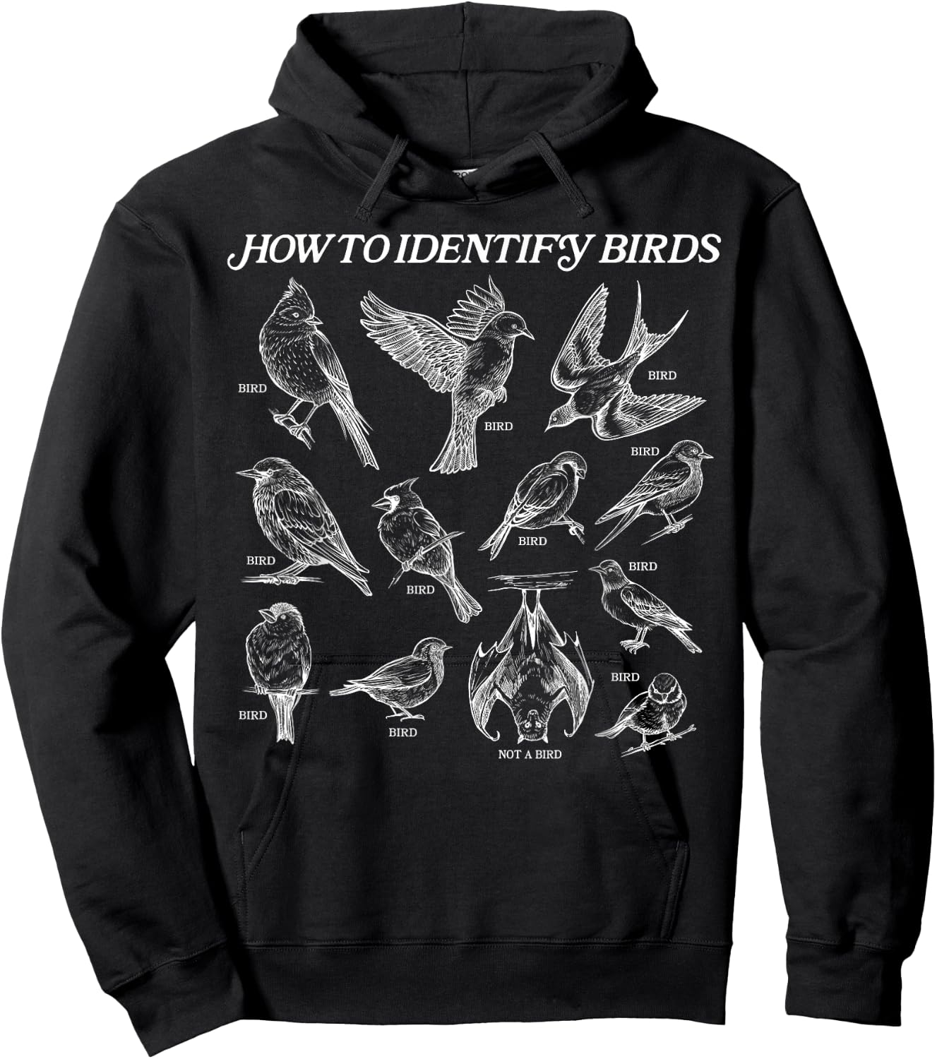 How to Identify Birds Hoodie - Hoodie | Black