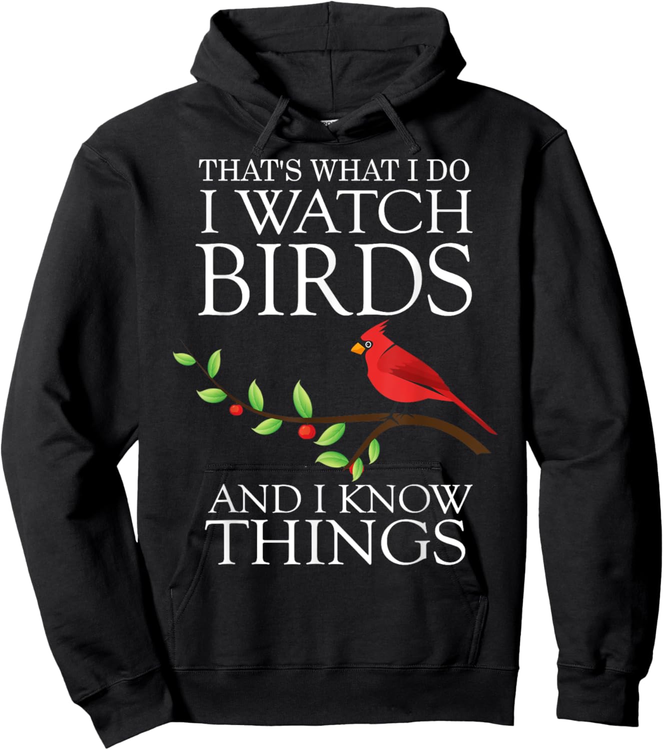 That's What I Do I Watch Birds And I Know Things Hoodie - Hoodie | Black