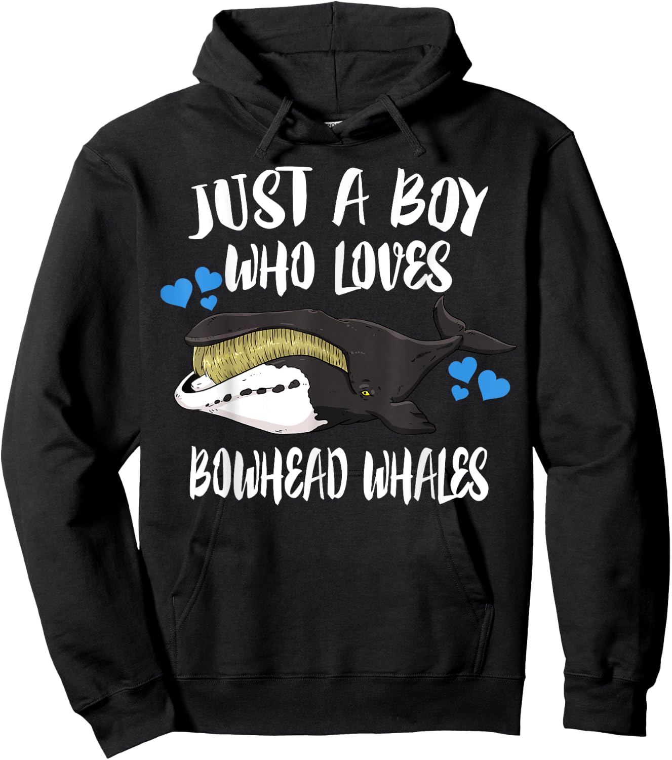 Just A Boy Who Loves Bowhead Whales Hoodie - Hoodie | Black