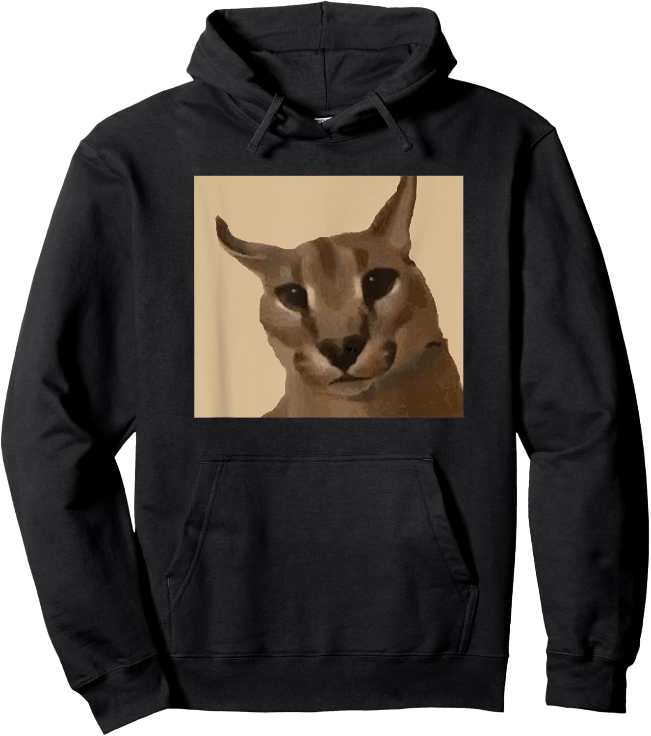 Big Floppa Meme Cat Hoodie - Hoodie | Black