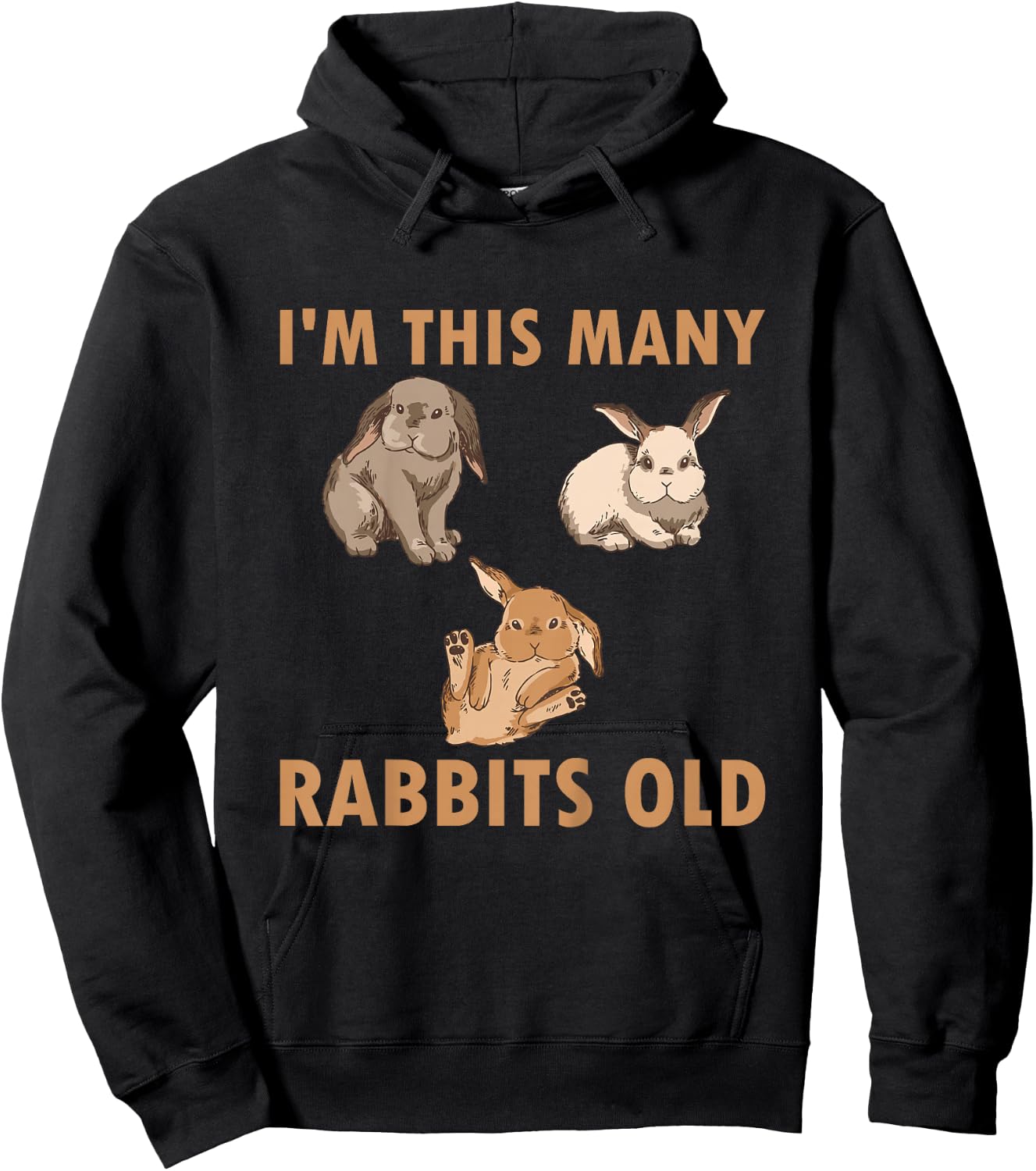 Kids 3 Year Old Bunny Rabbits Old 3rd Birthday Hoodie - Hoodie | Black