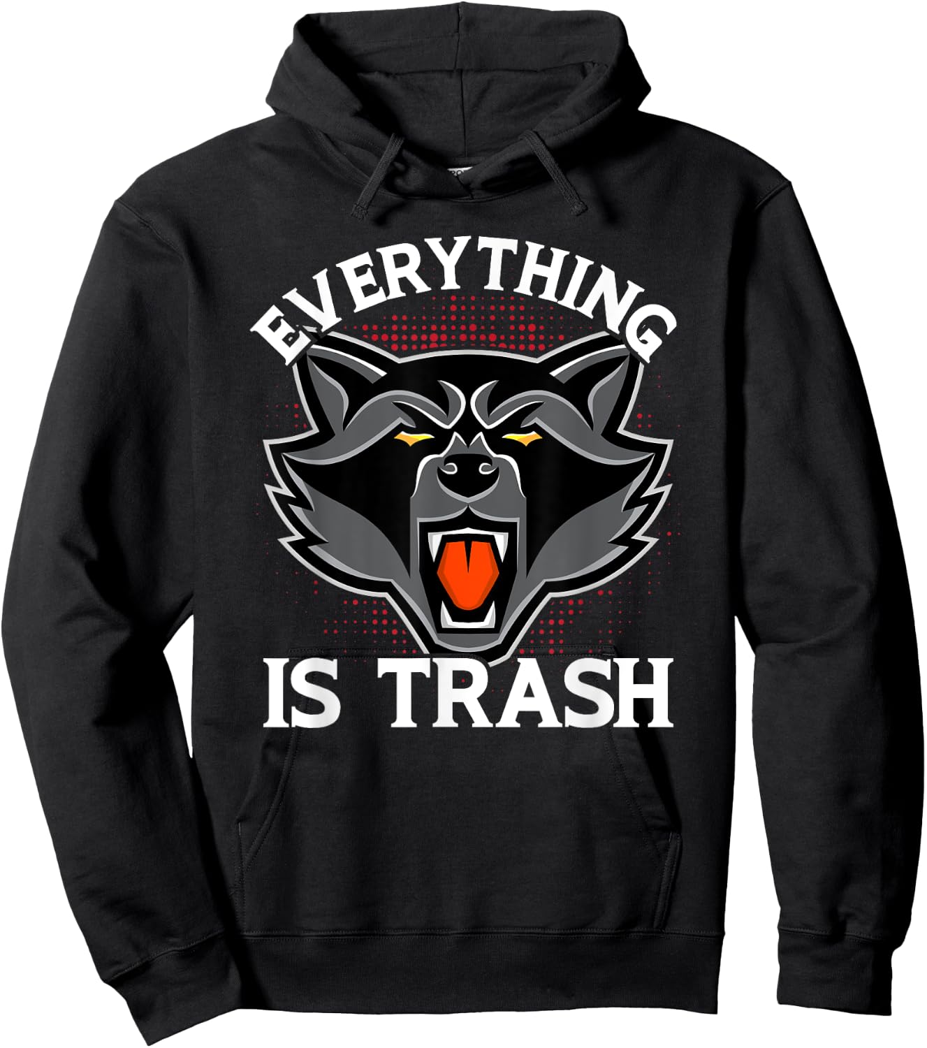 Everything Is Trash Funny Raccoon Animal Lovers Hoodie - Hoodie | Black