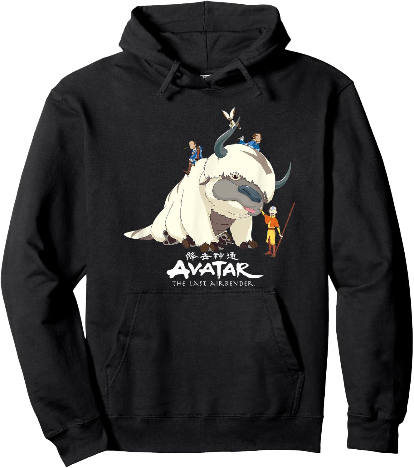 Avatar: The Last Airbender Team Avatar Group Shot Distressed Hoodie - Hoodie | Black