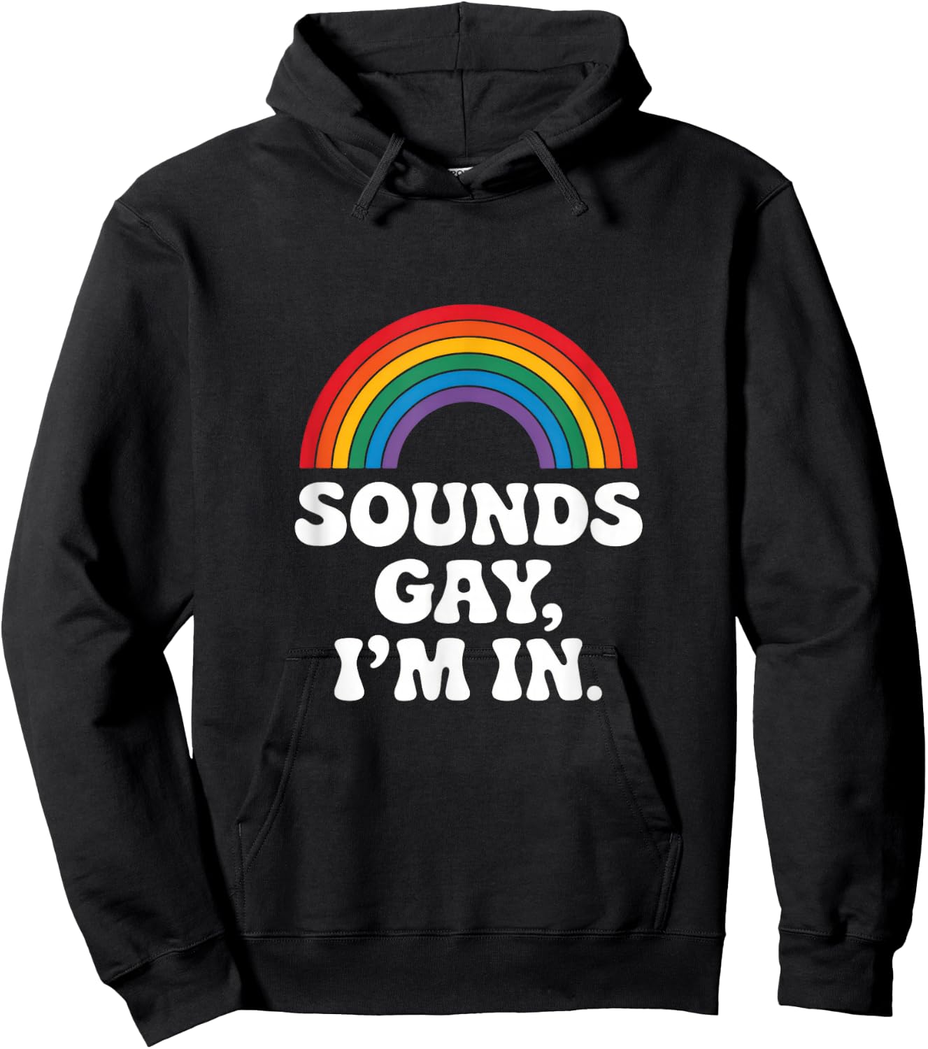 Sounds Gay, I'm In. - Rainbow Lgbtq Pride Queer Hoodie - Hoodie | Black