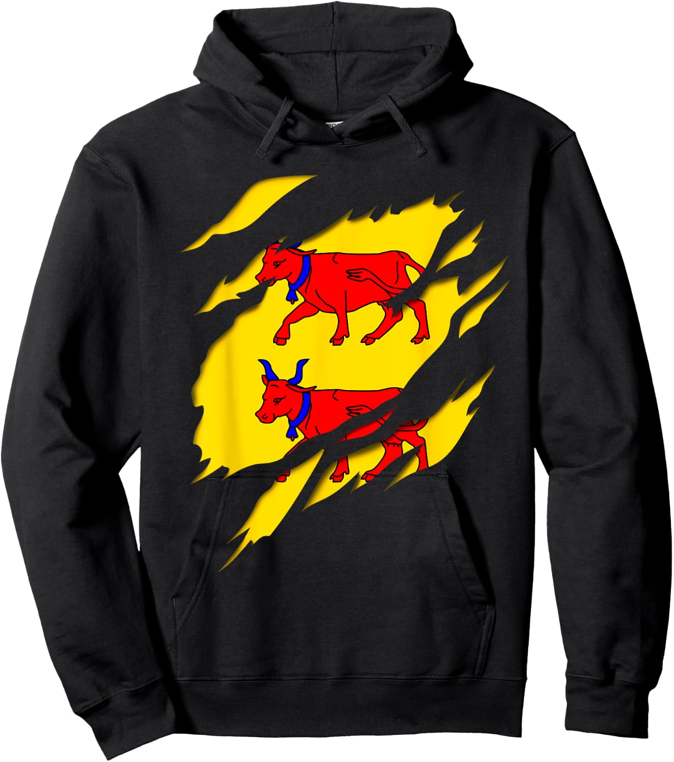 Béarn Flag Crest Ripped 3D Effect France Hoodie - Hoodie | Black