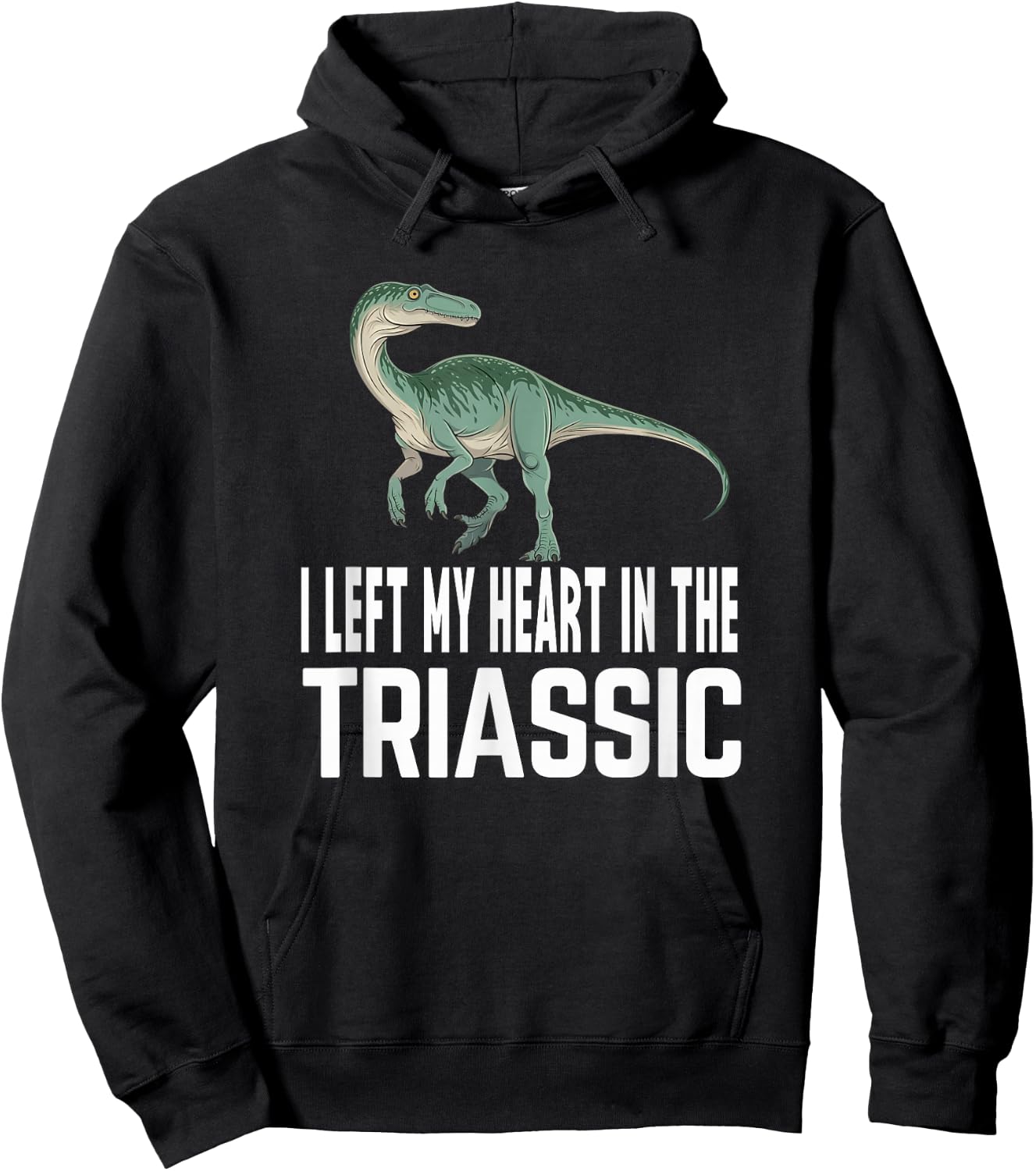 I Left My Heart In The Triassic Coelophysis Dinosaur Hoodie - Hoodie | Black