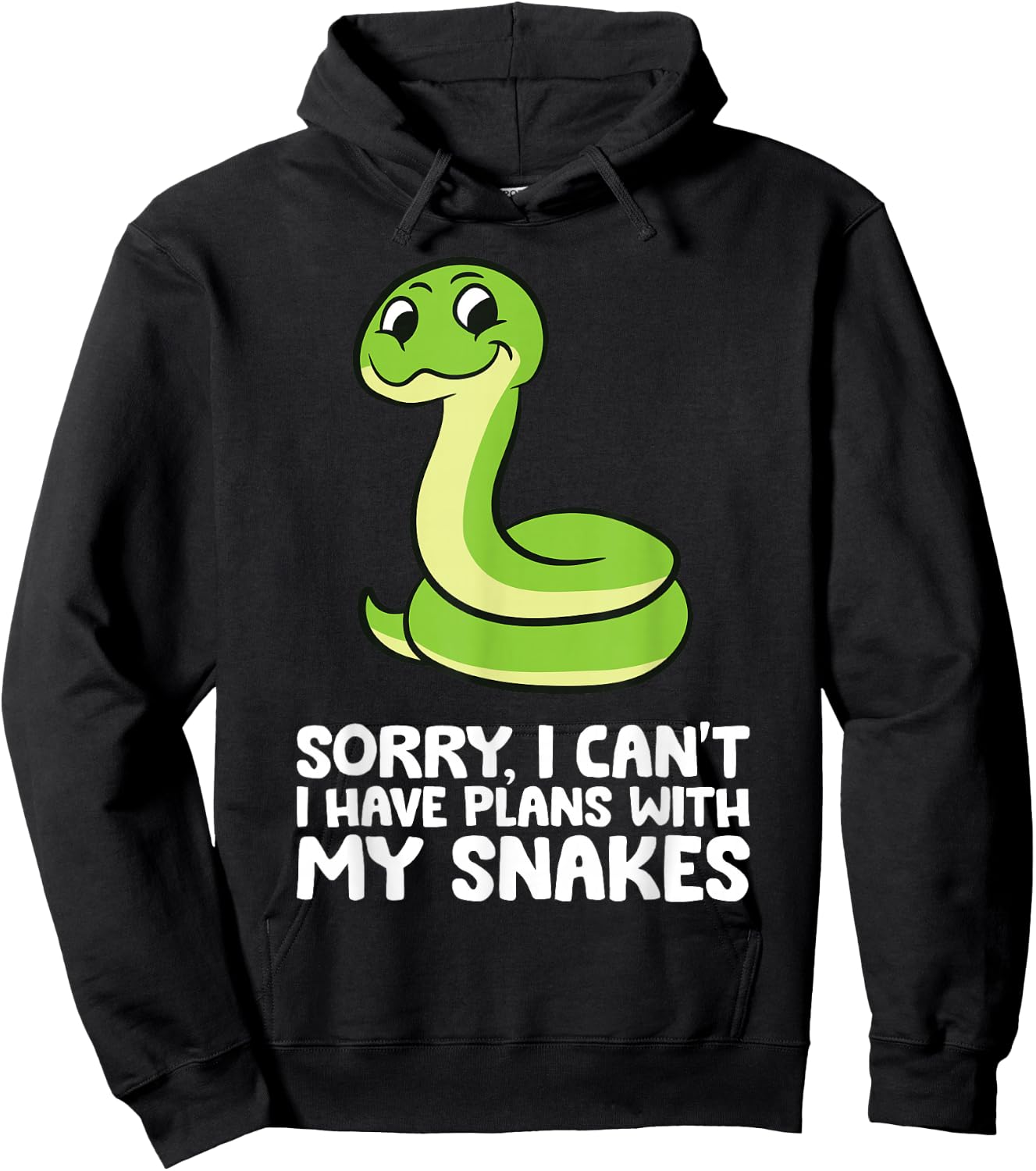 Sorry I Can't I Have Plans With My Snakes Hoodie - Hoodie | Black