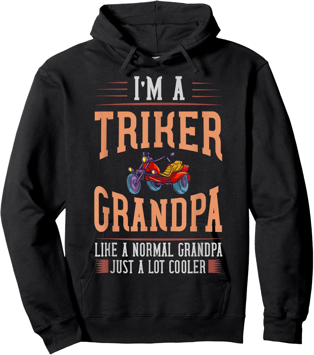 Trike Motorcycle Gift Three Wheeler Bike Hoodie - Hoodie | Black