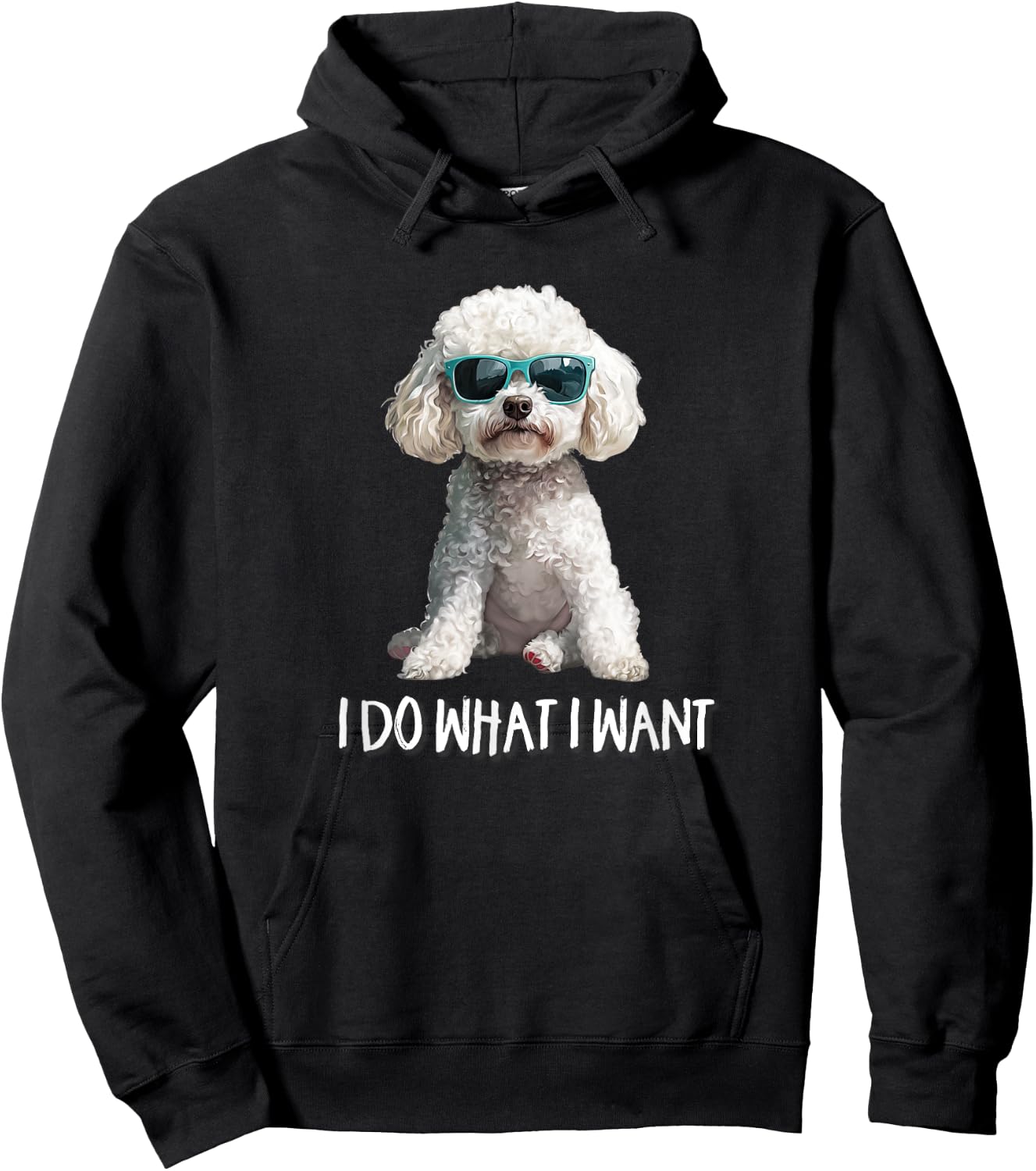 Funny Kids I Do What I Want Poodle Lover Hoodie - Hoodie | Black