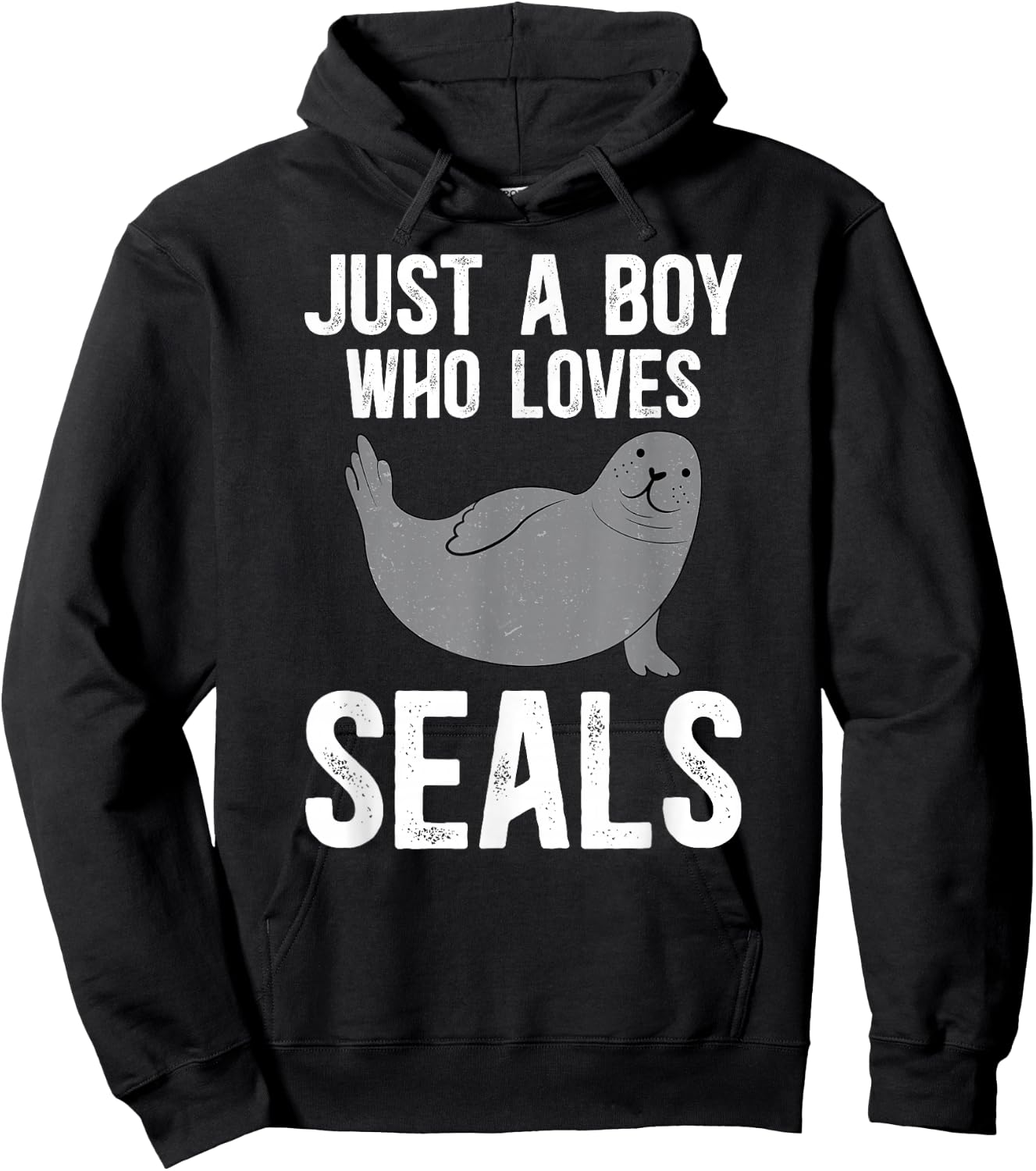 Boy Who Loves Seal Funny Seal Lover Seal Boy Hoodie - Hoodie | Black