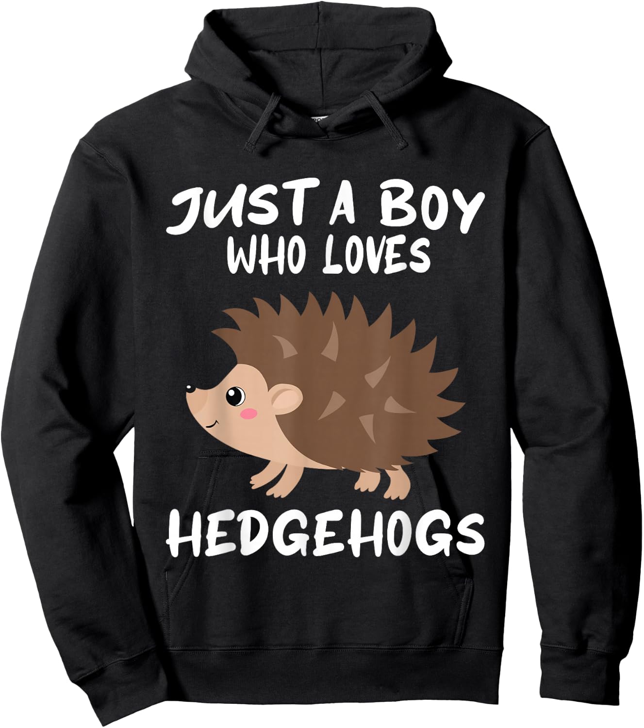 Just A Boy Who Loves Hedgehogs - Funny Hedgehog Lover Hoodie - Hoodie | Black