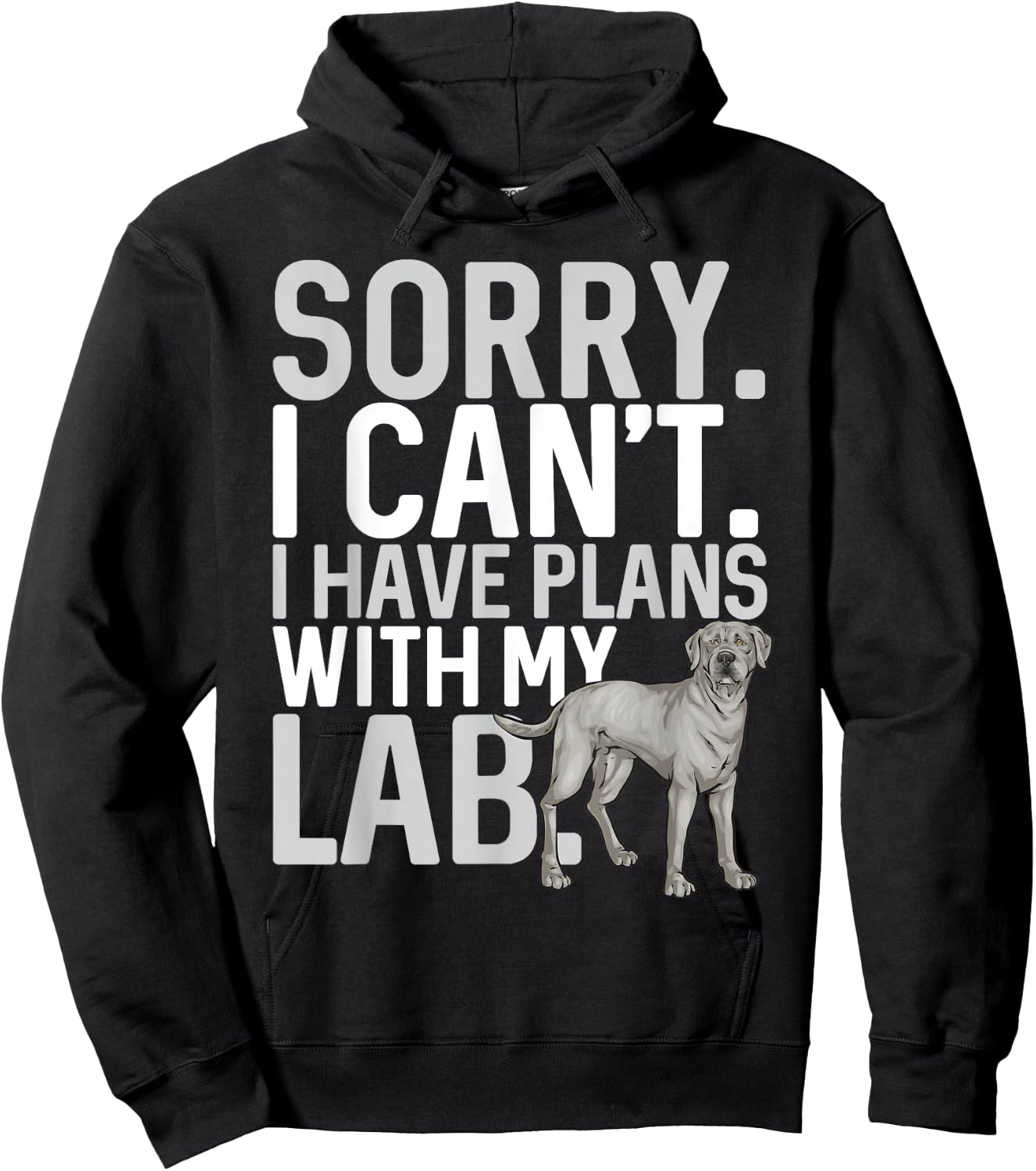 Silver Lab Silver Labrador Retriever Hoodie - Hoodie | Black
