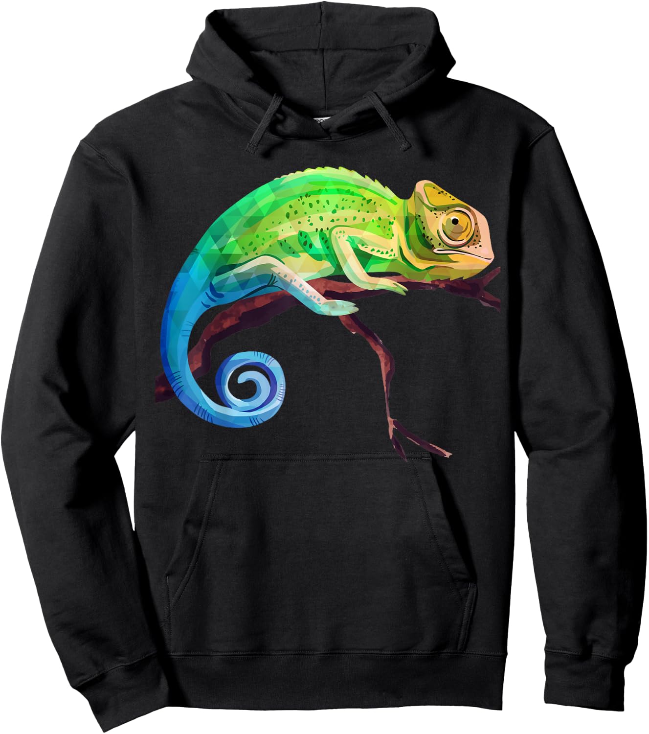 Reptile Zoo Keeper Gift Lizard Safari Chameleon Hoodie - Hoodie | Black