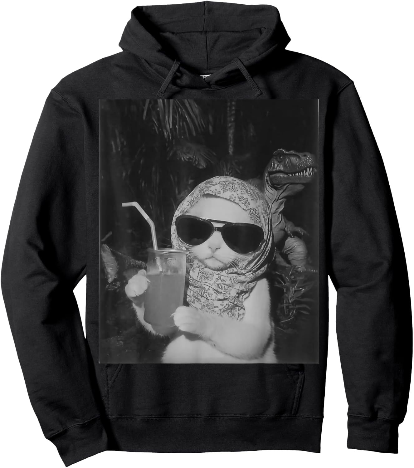Chill And Cool Cat Drinking Fruit Selfie With Dinosaur T-Rex Women Kids Hoodie - Hoodie | Black