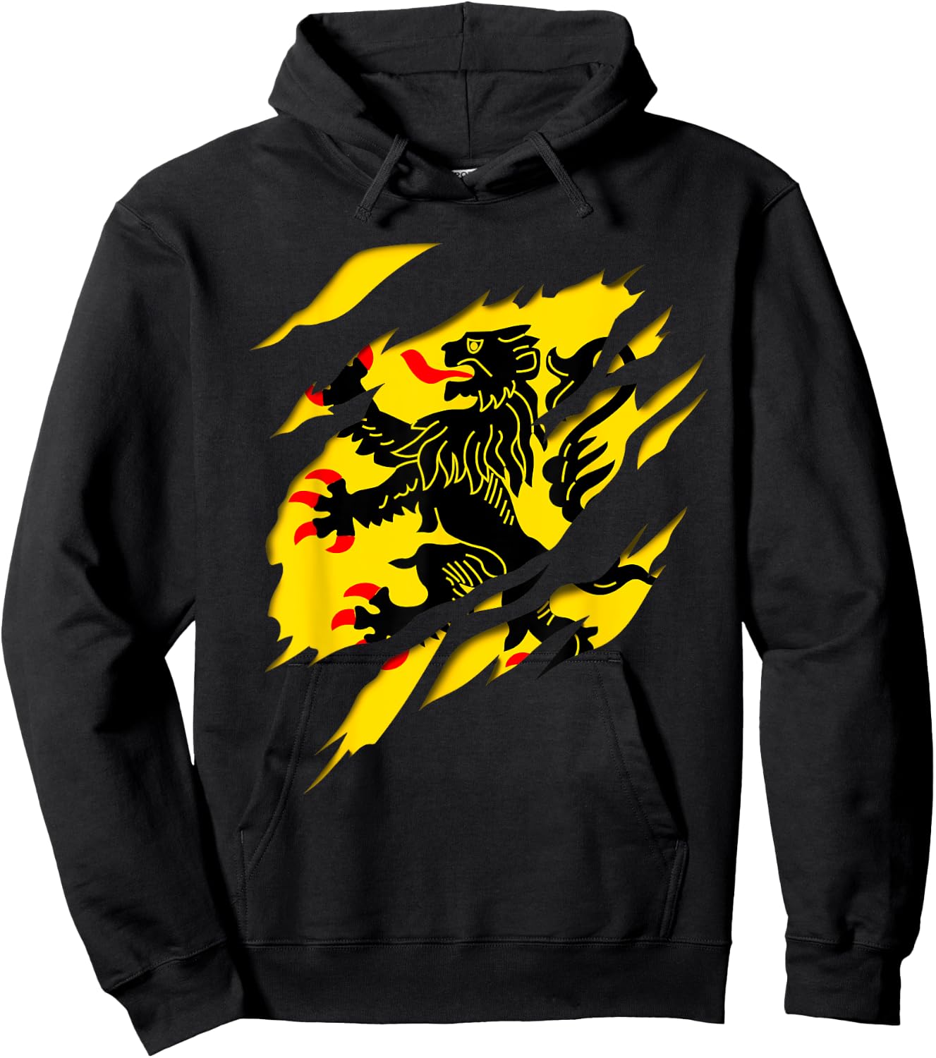 Flag Nord Pas de Calais Crest Ripped 3D Effect France , Black, S Hoodie - Hoodie | Black