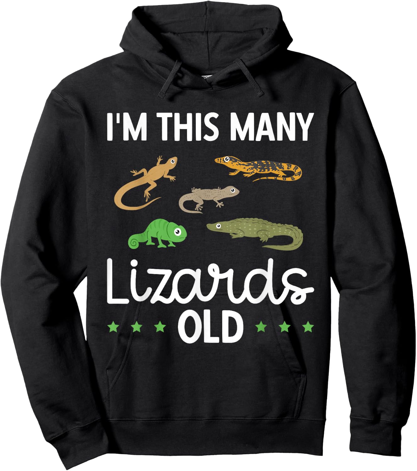 Kids This Many Lizards Old Reptile Themed 5th Birthday Hoodie - Hoodie | Black