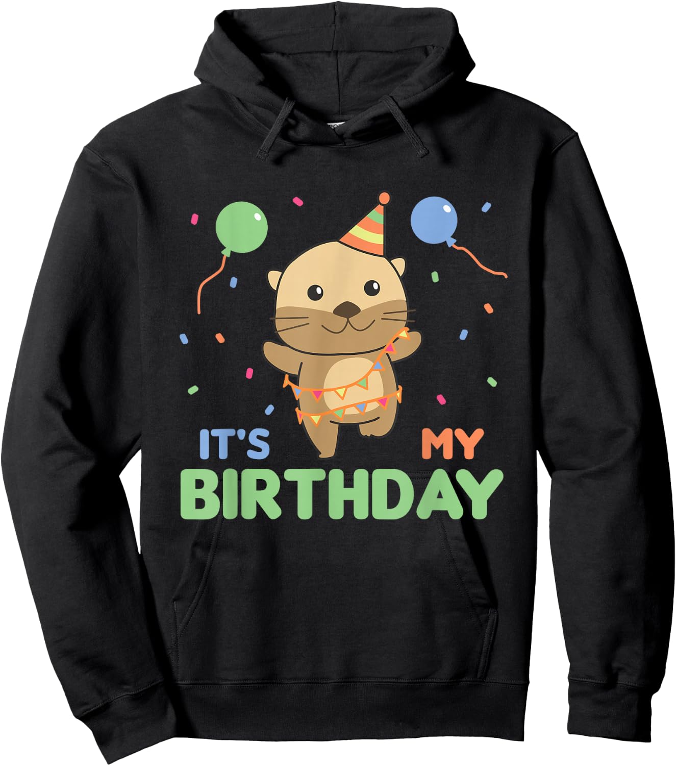 Birthday Otter For Kids It's My Birthday Hoodie - Hoodie | Black