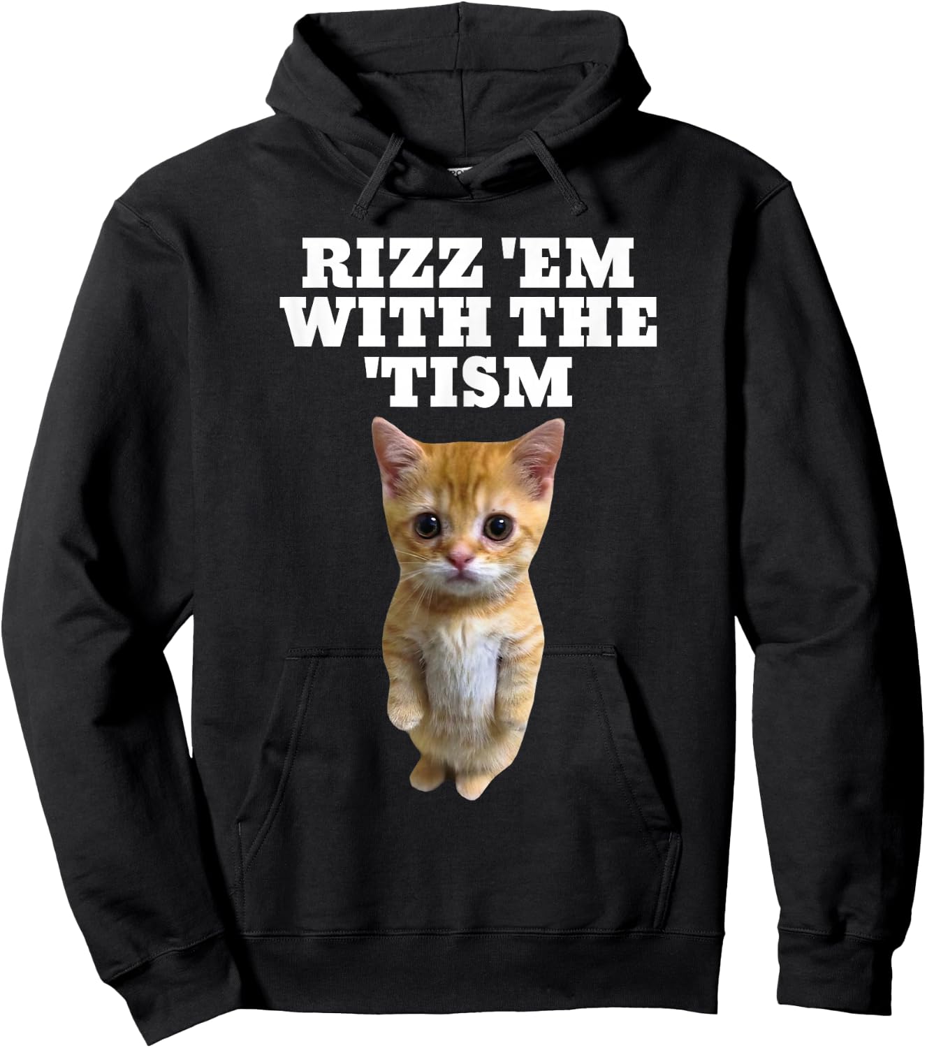 Rizz Em With The Tism Autistic Cat Rizz Hoodie - Hoodie | Black