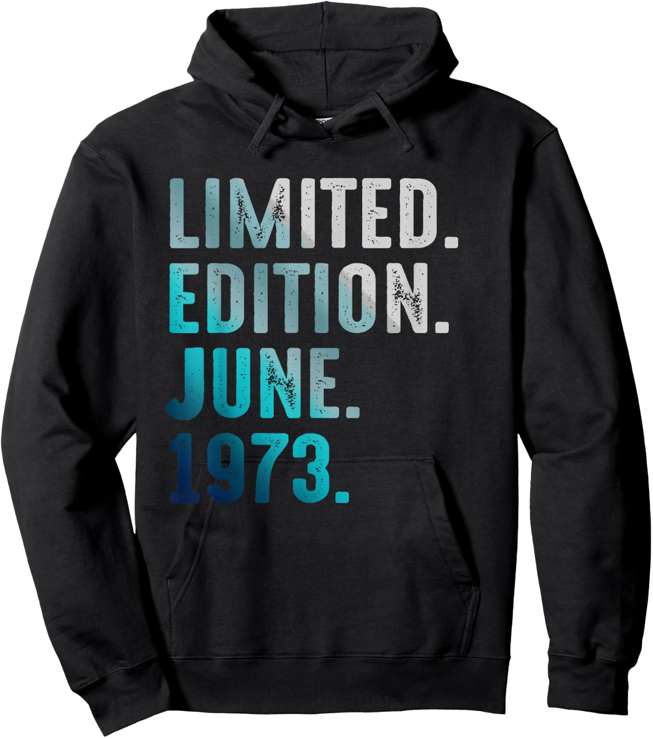 Limited Edition June 1973 Retro Vintage 1973 Hoodie - Hoodie | Black