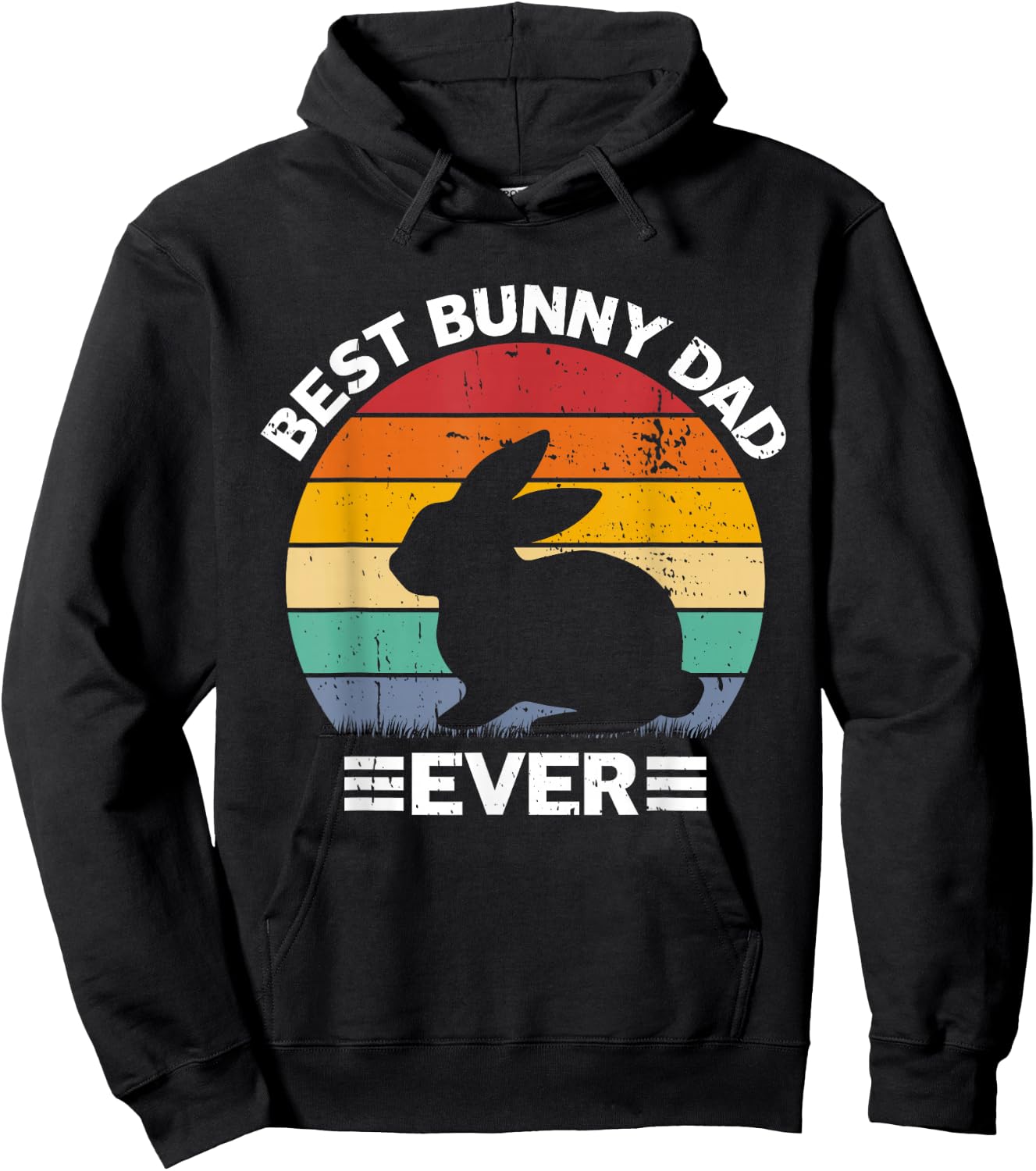 Best Bunny Dad Ever Rabbit Lover Father Pet Rabbit Hoodie - Hoodie | Black