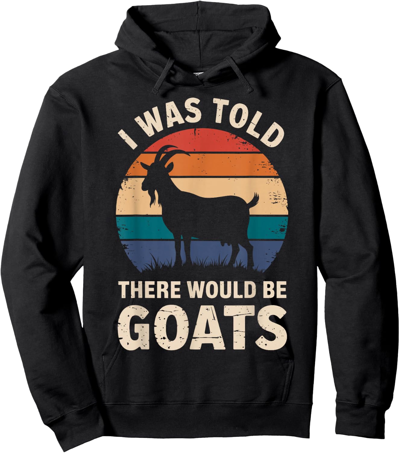 I Was Told There Would Be Goats Funny Goat Lover Hoodie - Hoodie | Black
