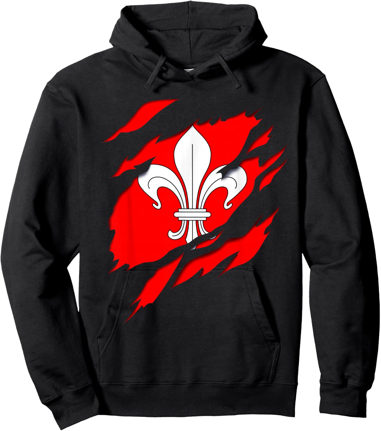 Flag Lille Coat of Arms torn with 3D effect. France Hoodie - Hoodie | Black
