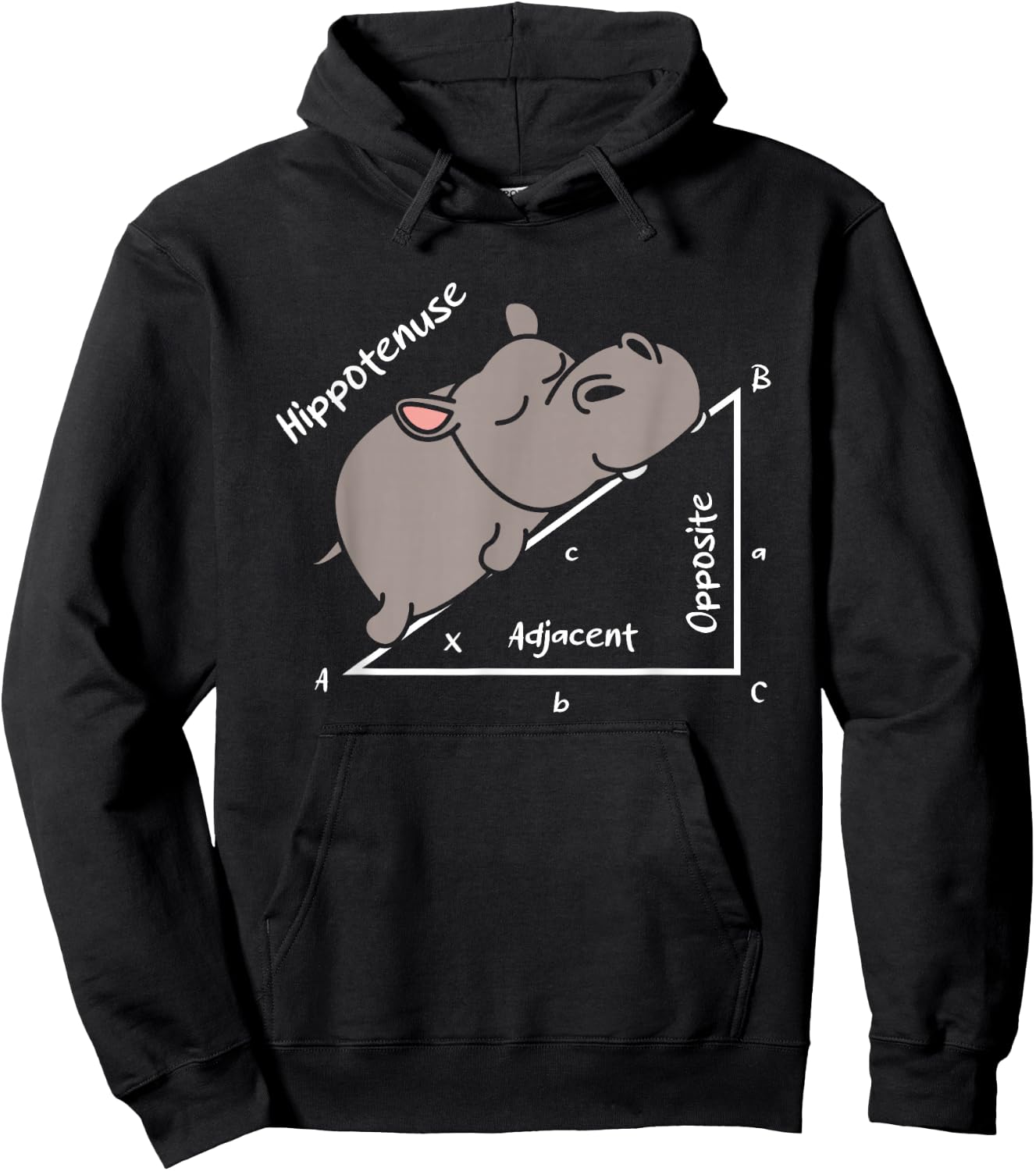 Hippotenuse Hippo Angle Function Hypotenuse Math Teacher Hoodie - Hoodie | Black