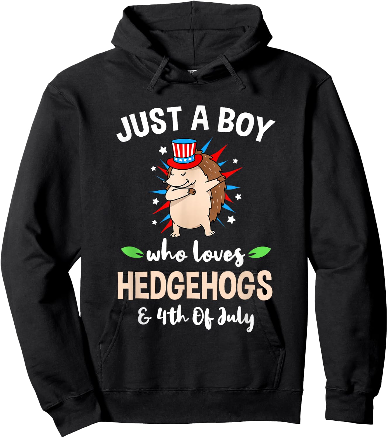 Just A Boy Who Loves Hedgehogs And 4th Of July Hoodie - Hoodie | Black