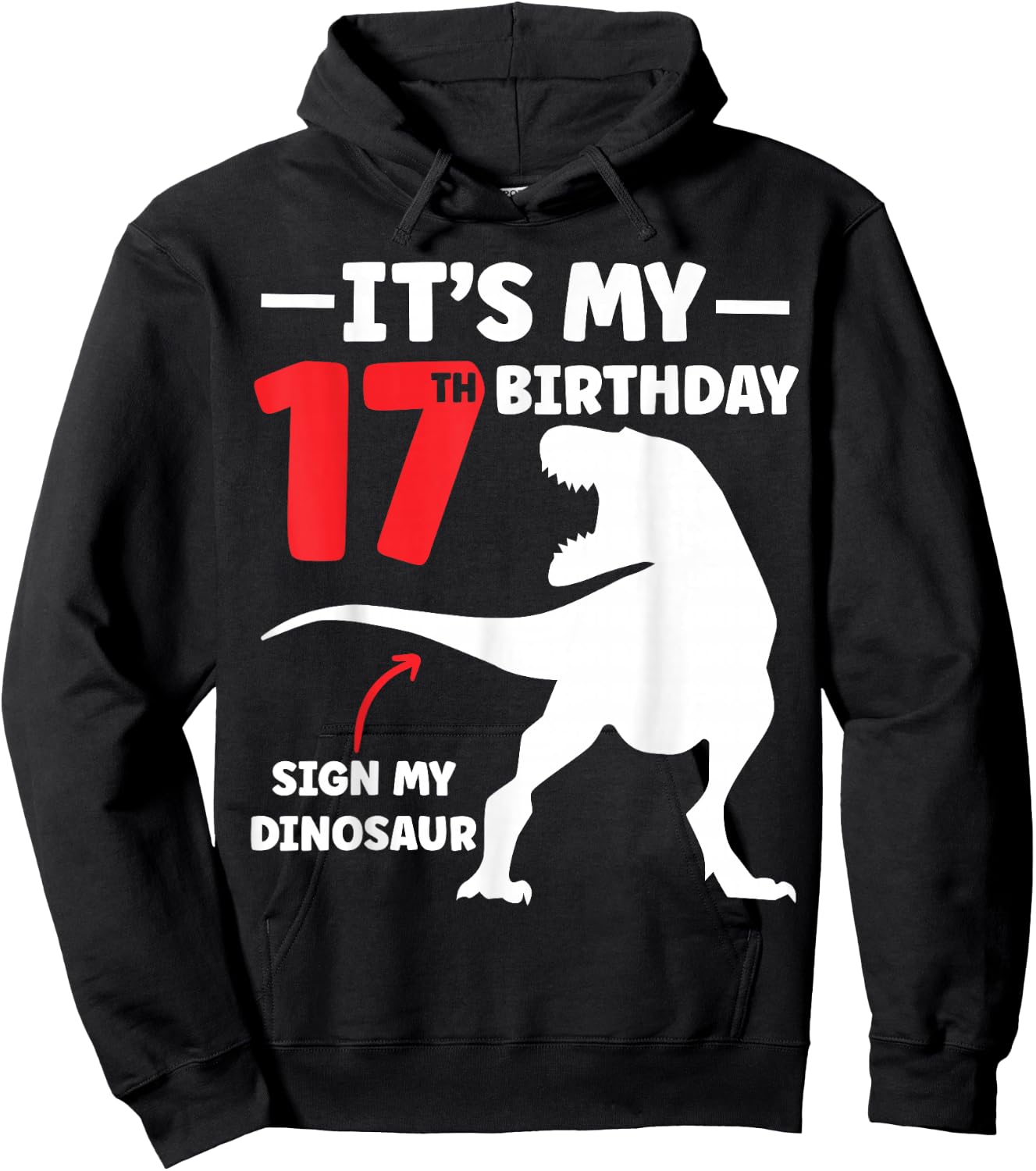 Its My 17th Birthday Sign My Shirt - Dinosaur Theme Hoodie - Hoodie | Black