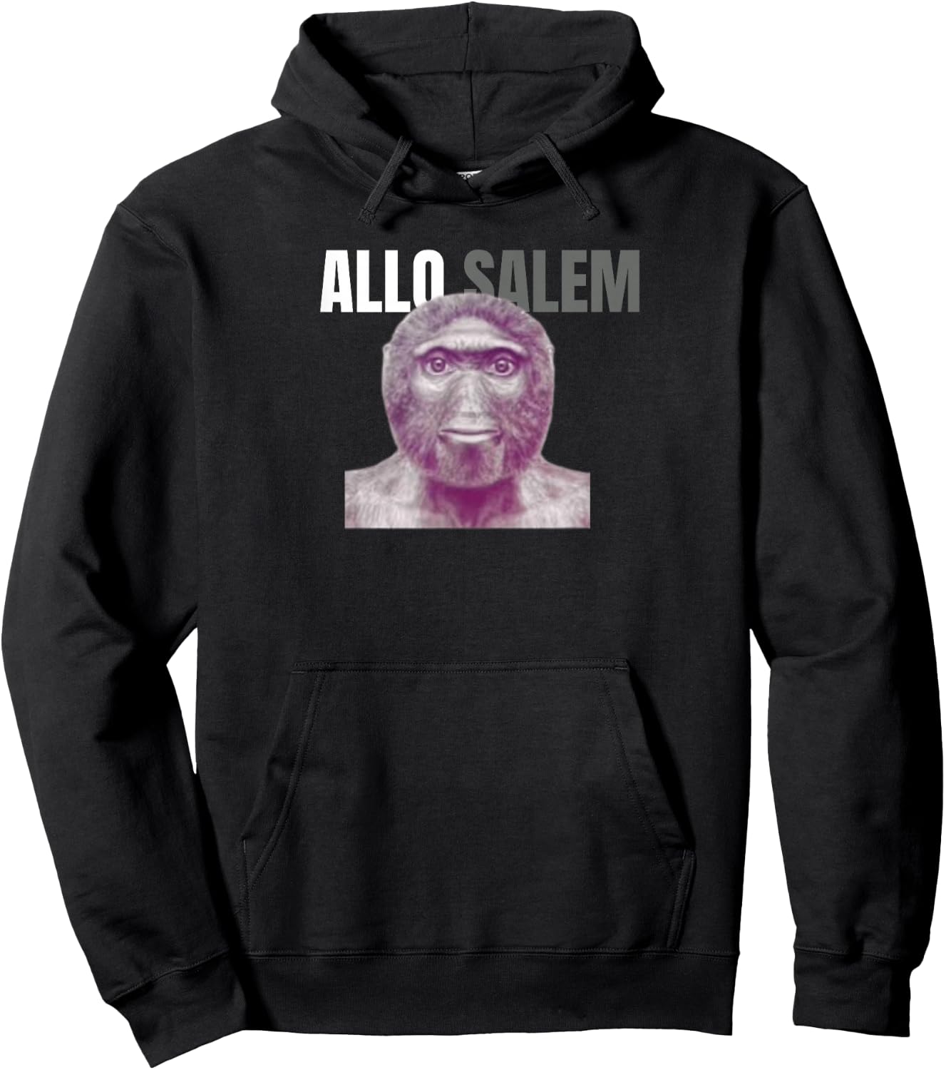 allo salem Humor for College Boys and Girls , Black, S Hoodie - Hoodie | Black