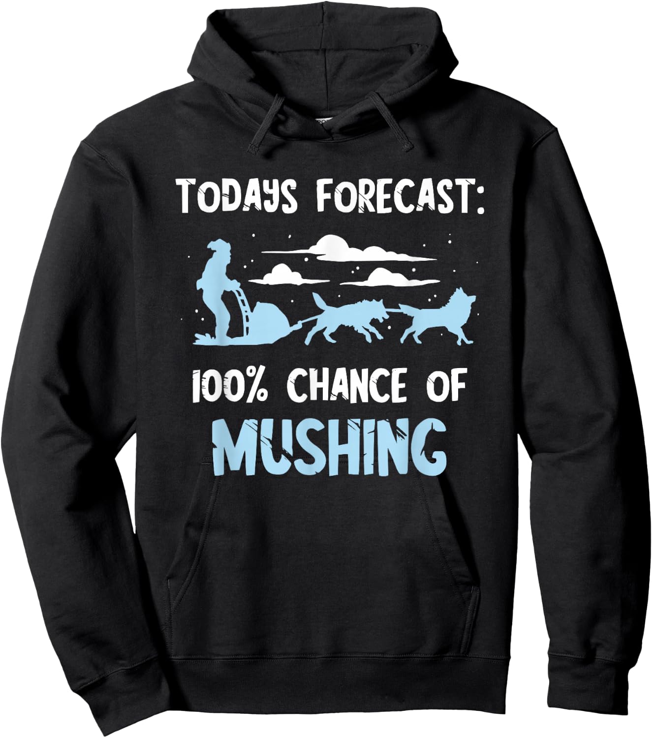 Sled Dog Todays Forecast Winter Sport Husky Dog Snow Sleding Hoodie - Hoodie | Black