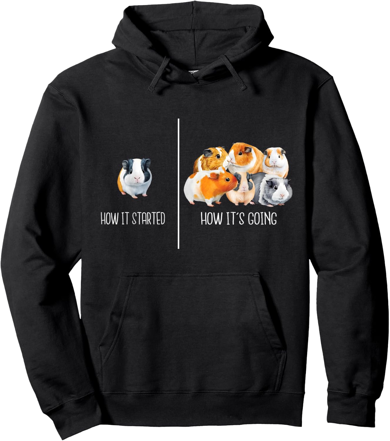 How It Started How It's Going - Guinea Pig Rodent Pet Lover Hoodie - Hoodie | Black