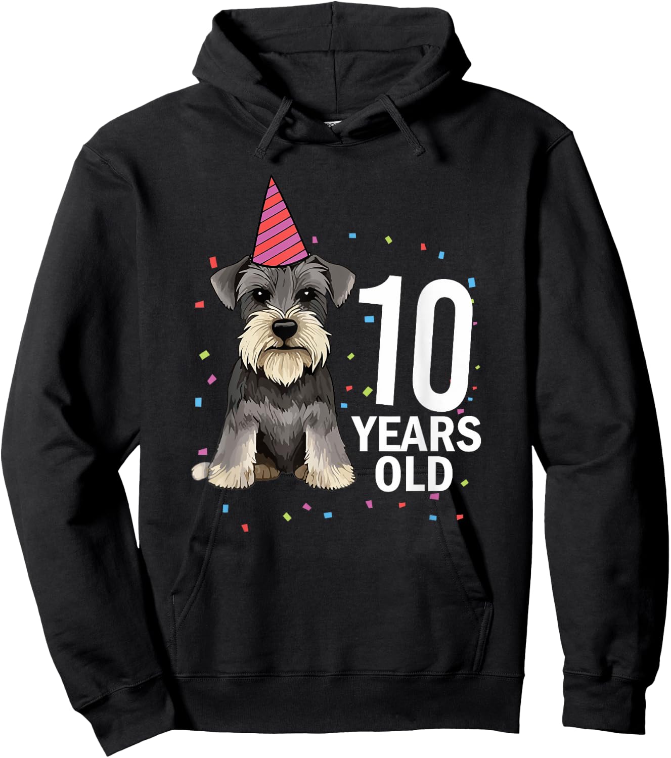 10 Years Old Birthday Schnauzer Dog Lover 10th Party Kid Hoodie - Hoodie | Black