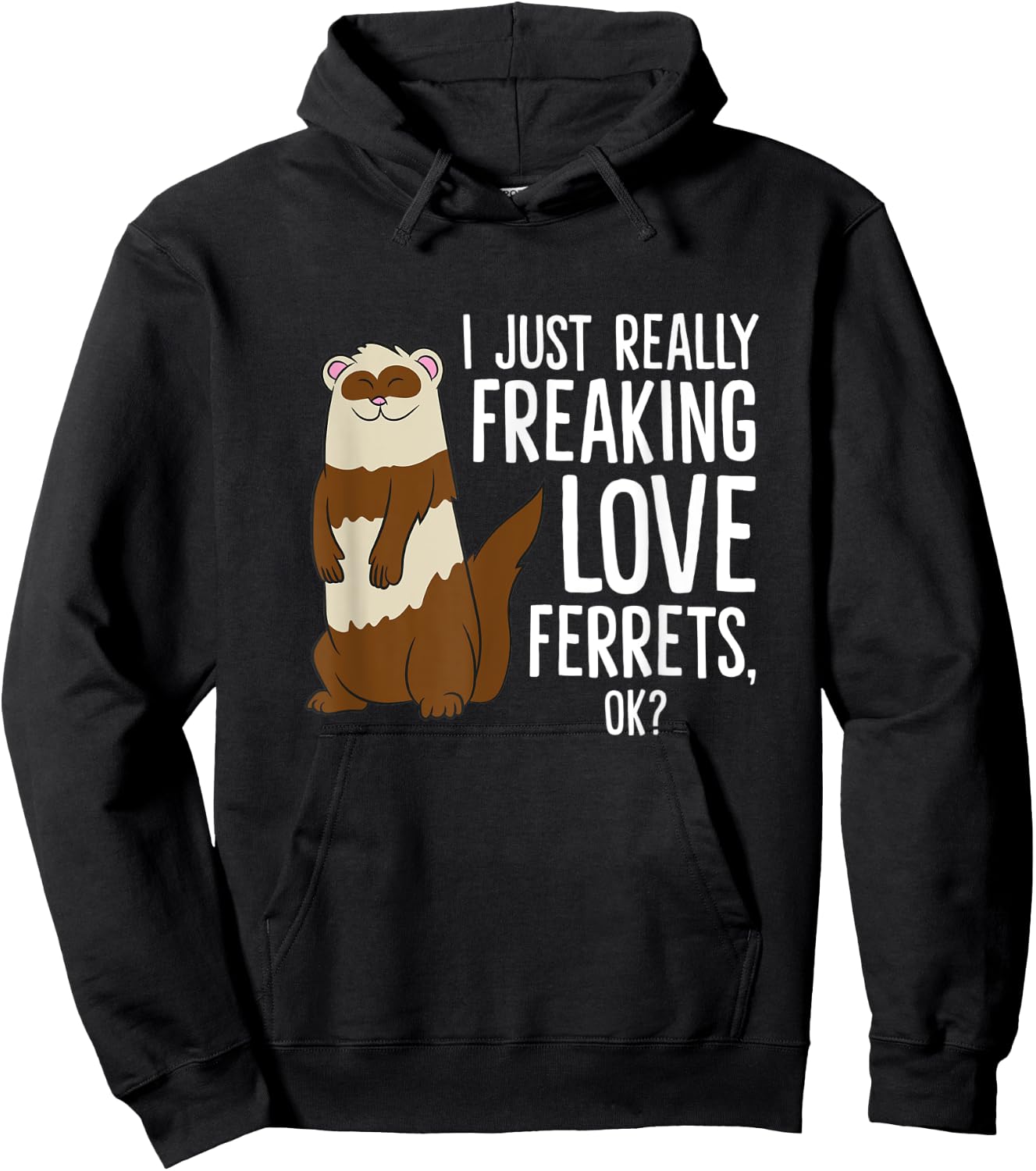 Ferret Pet Owner Gift I Just Really Freaking Love Ferrets Hoodie - Hoodie | Black