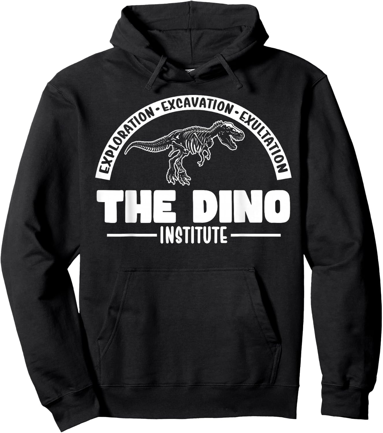 Hello There! Lets Go Get That Dino Research Dino Institute Hoodie - Hoodie | Black