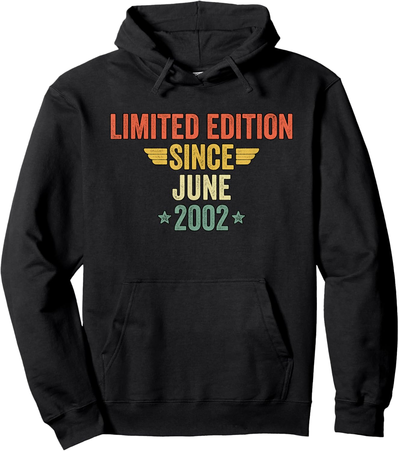 Limited Edition Since June 2002 Hoodie - Hoodie | Black
