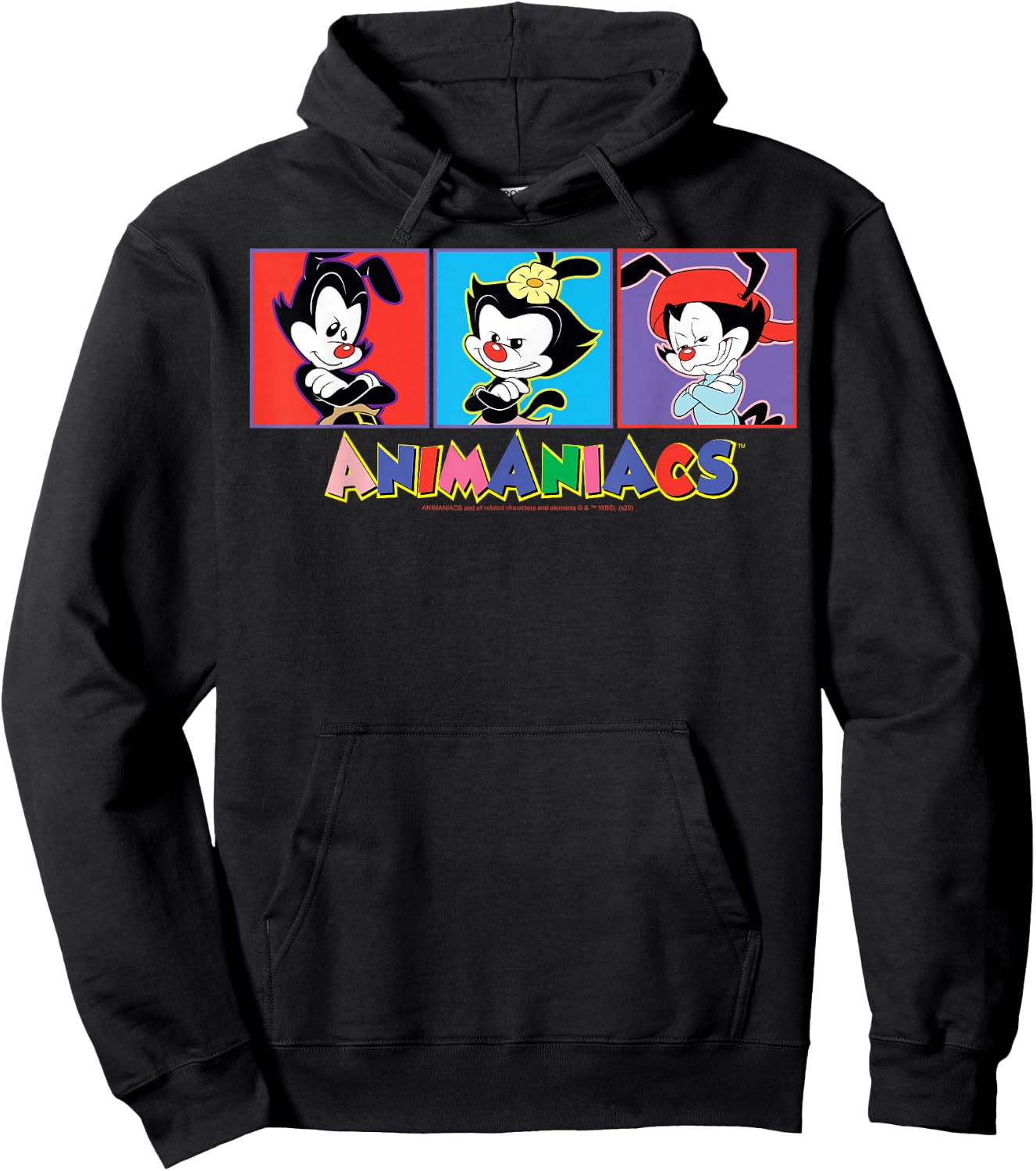 Animaniacs Yakko Wakko And Dot Box Up Hoodie - Hoodie | Black